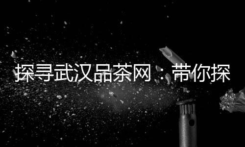 武汉夜生活论坛：探寻最激情派对背后的故事